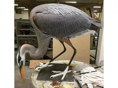 自然博物馆展品