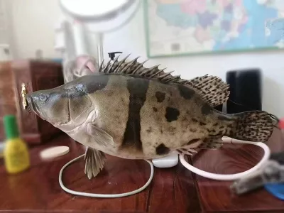 自然博物馆展品